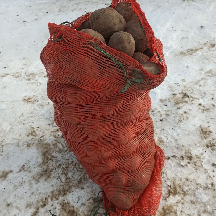 Продам крупных картофель