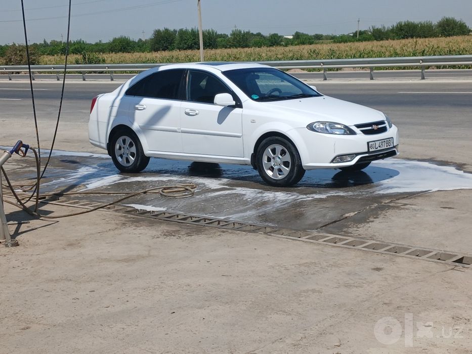 Гентра 2018 родной