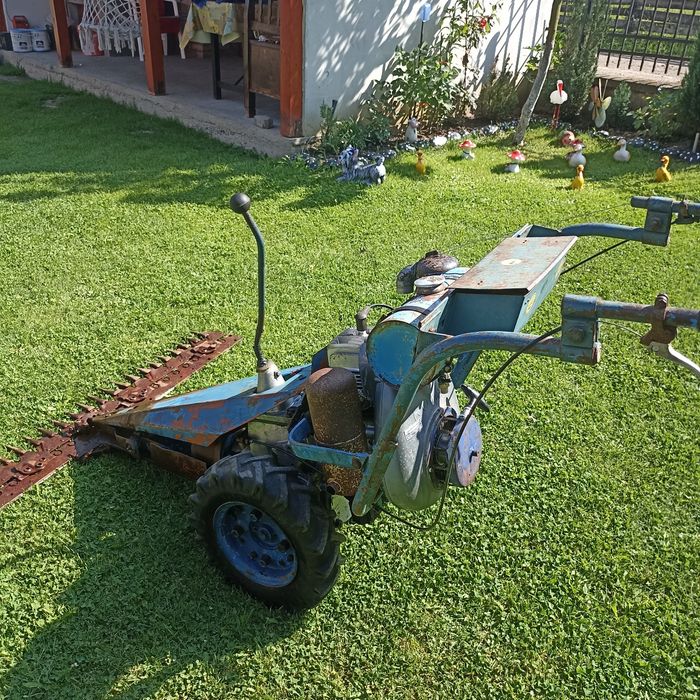 Cositoare Rotax.