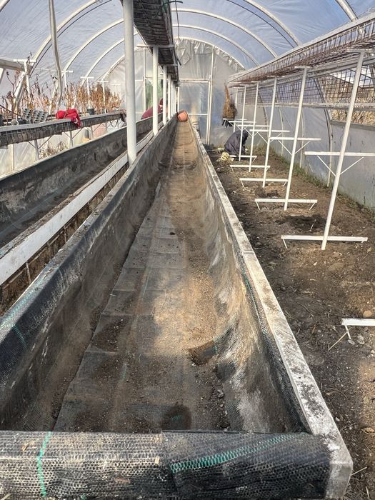 Structura metalica cu ghivece