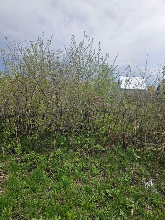 Продам дачу, общество комета