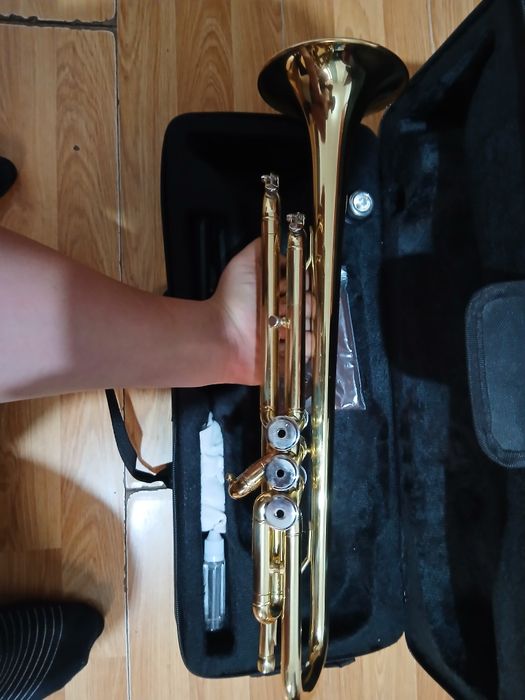 Vînd tropetă nouă am cupărato ce va timp în urmă schimb pe clarinet