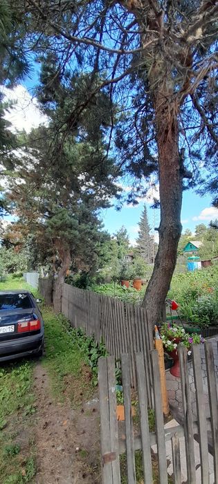 Продам дачу в хорошем состоянии