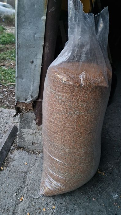 Mei roșu pentru porumbei și papagali