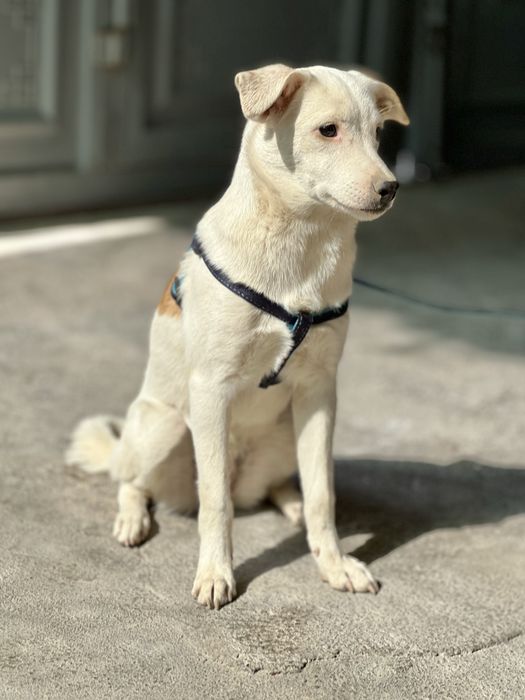 Принцесса Татка ждет своих мам-пап!