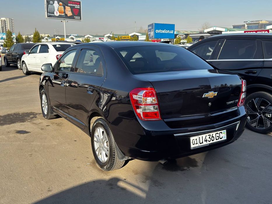 Cobalt AT 2023 kraska toza 100%