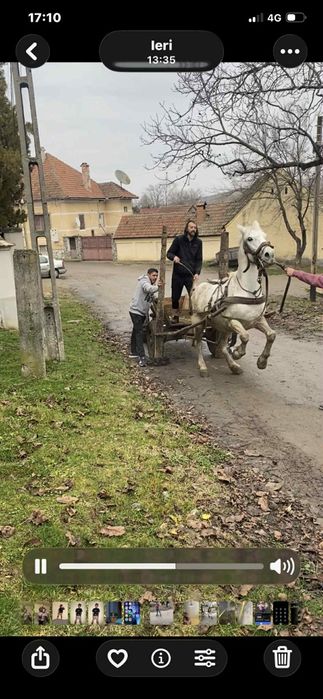 Vând o iapa garantata mai multe detalii la telfon