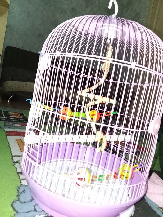 Клетка для папугая