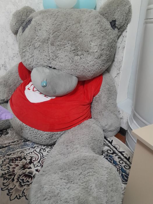 Teddiy Ayiq katta