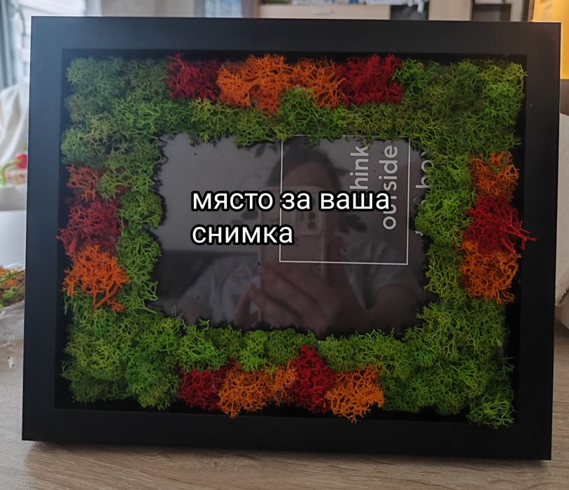 Картини със скандинавски мъх