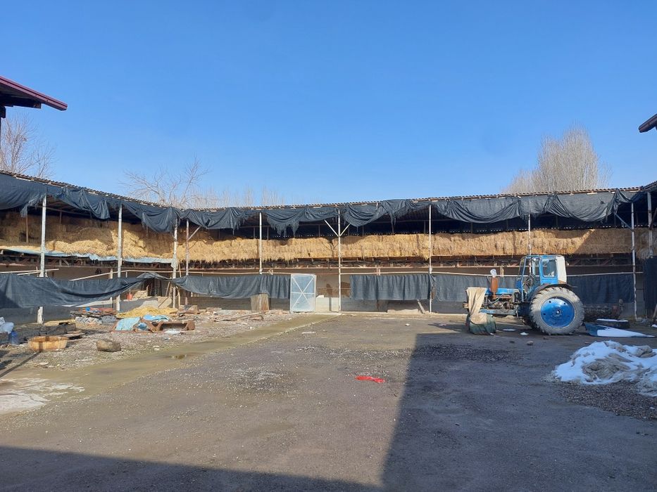 Tayor ferma sotiladi