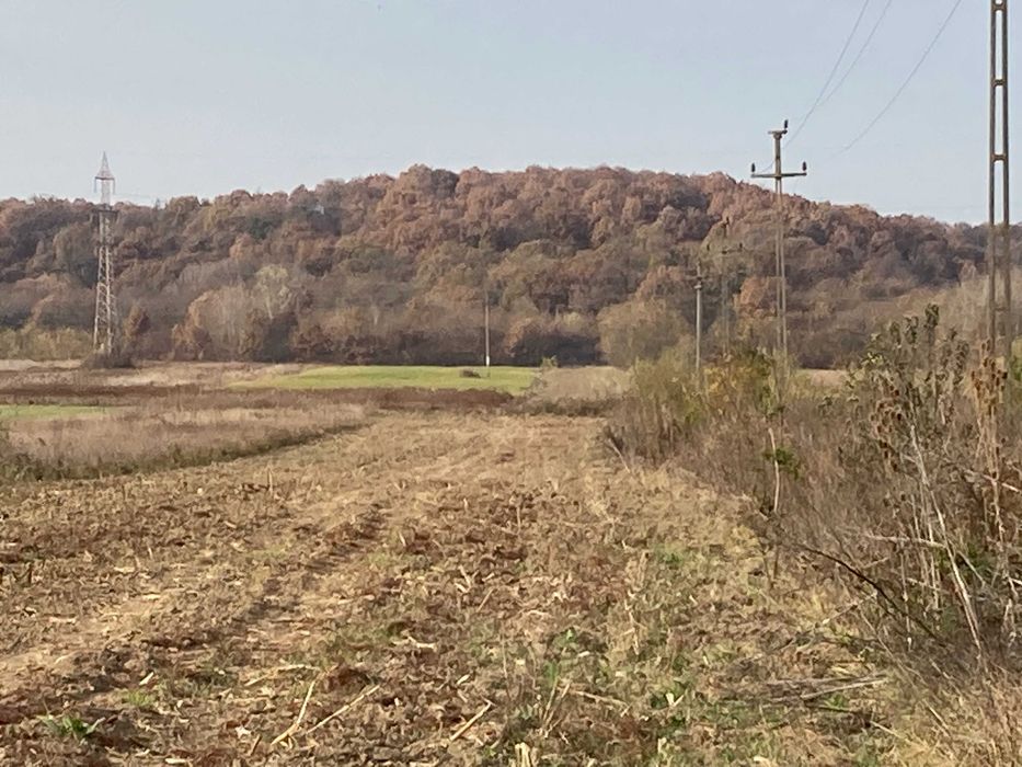 Teren Telesti, Costesti, Jud Arges, intravilan