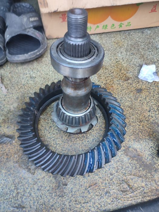 Главная пара дана44