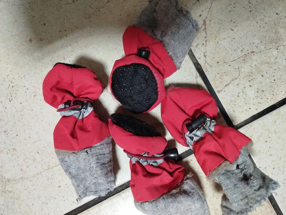 Продам одежду бу для маленькой собачки