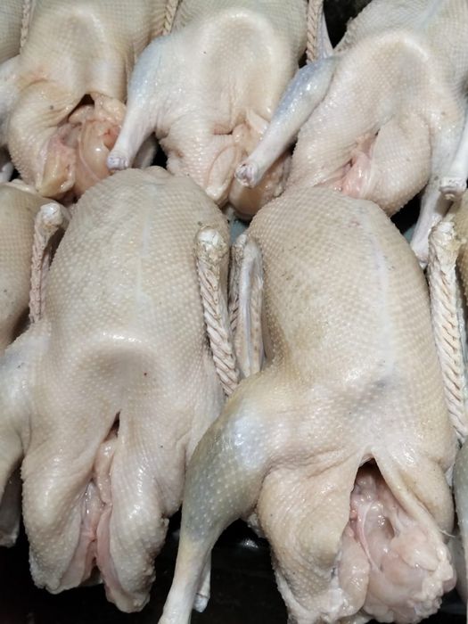 Продам гуси утки