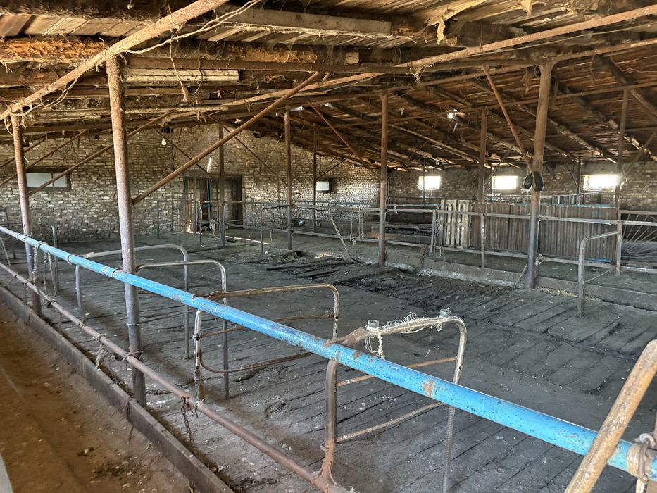Продается дом под крестьянское хозяйство