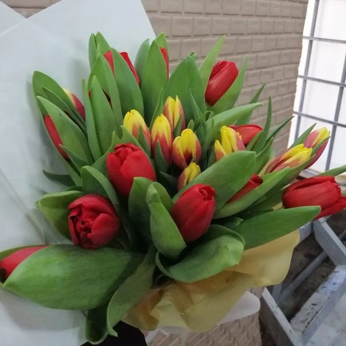 Тюльпаны оптом от 420 тенге
