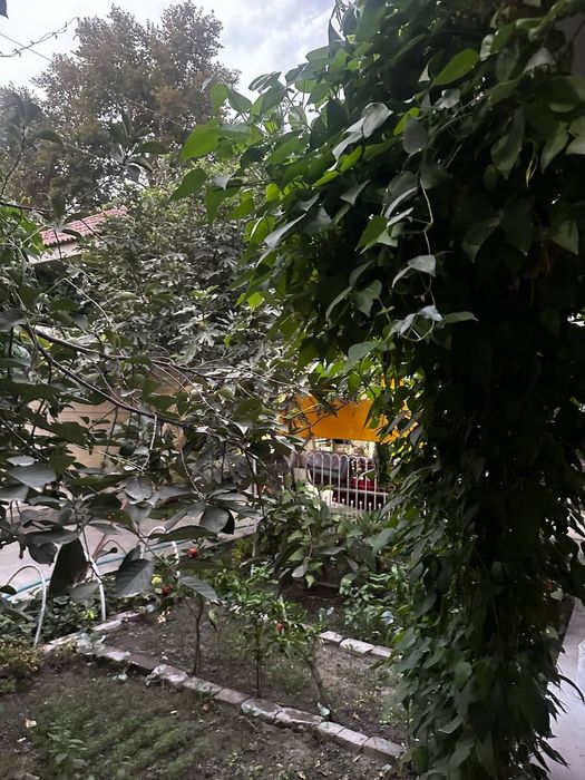 Ховли уй сотилади