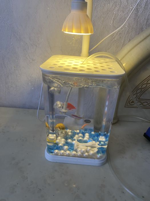 Продам красивый аквариум