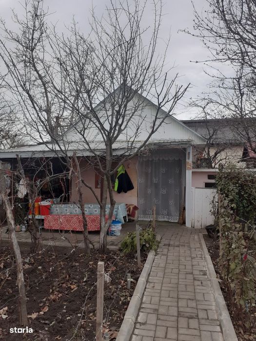 Vând grădină în Târgu Frumos