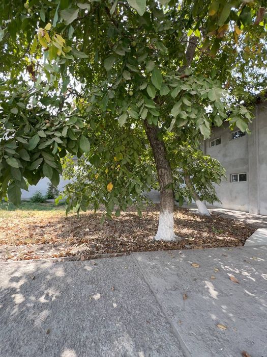 Недвижимость для призводства