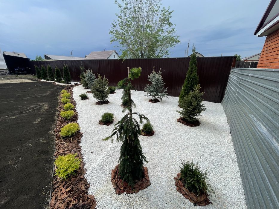 Газон посевной и рулонный