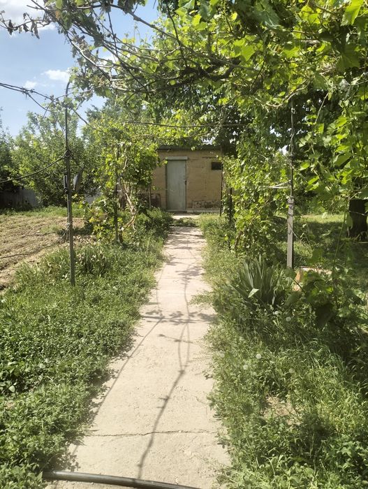 Дом на Шубарсу 12 соток