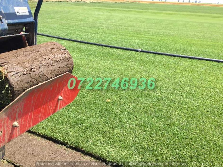 Gazon Natural de Calitate Superioară pentru Exterior