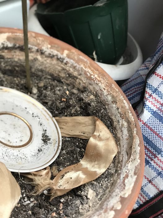 продаю горшки для Цветов