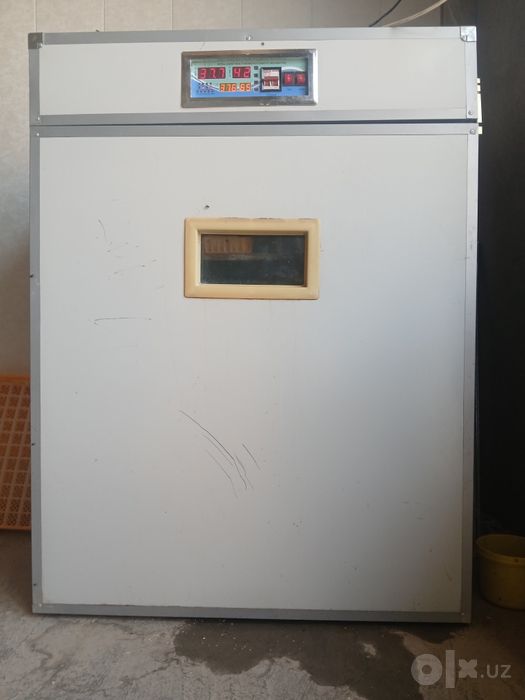 Inkubator sotladi
