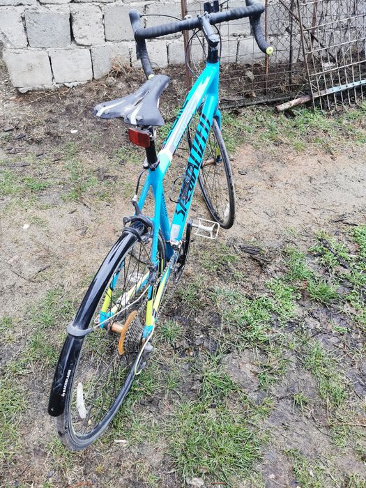 Cursiera  specelized elit