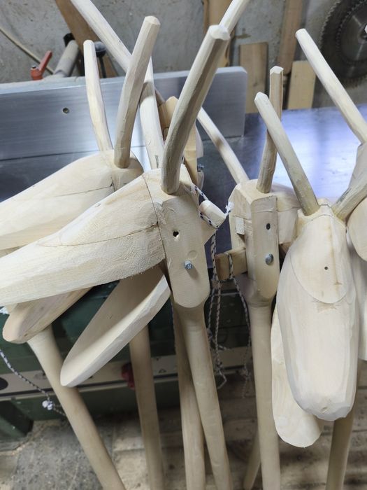 Căprițe de anul nou .