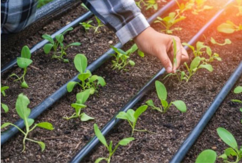 капелный монтаж установка