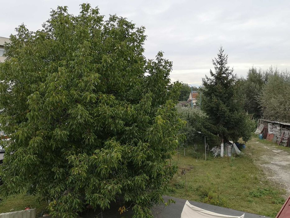 casa  340mp ,teren 1541mp