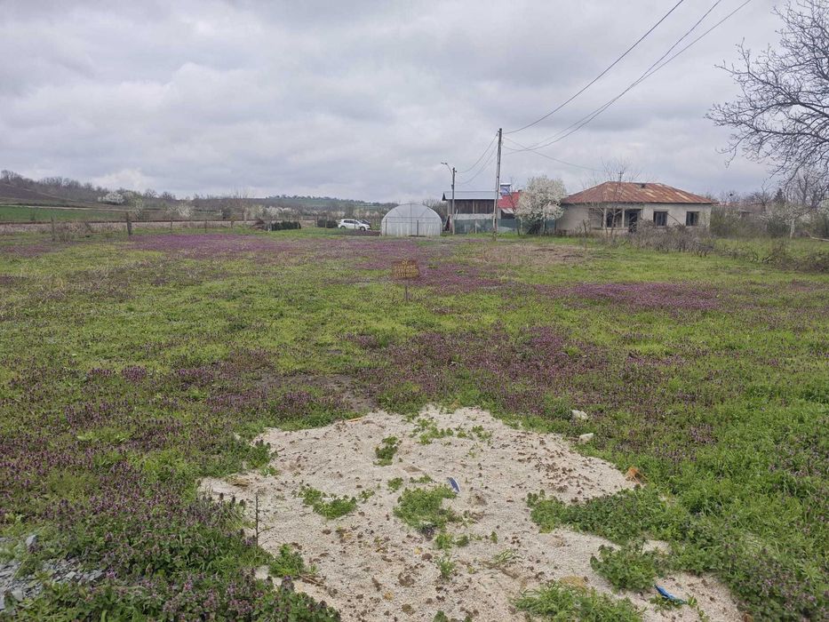 teren intravilan comuna daia