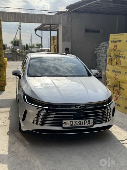 Byd chazor full 2023