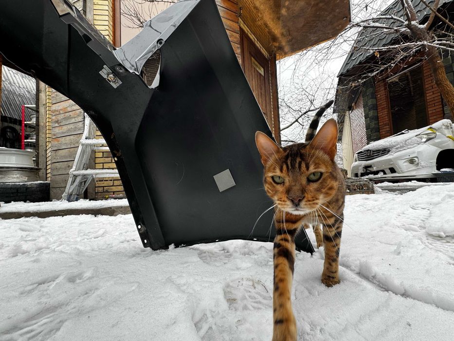 Задний бампер  Lexus LX570