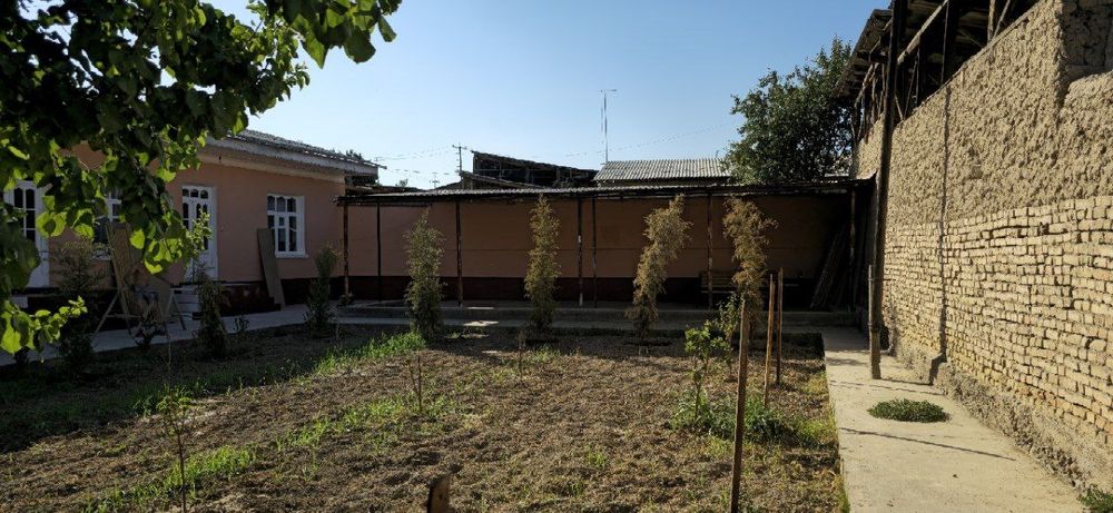 12 sotixlik kotta xovli sotiladi Yangiyul tuman