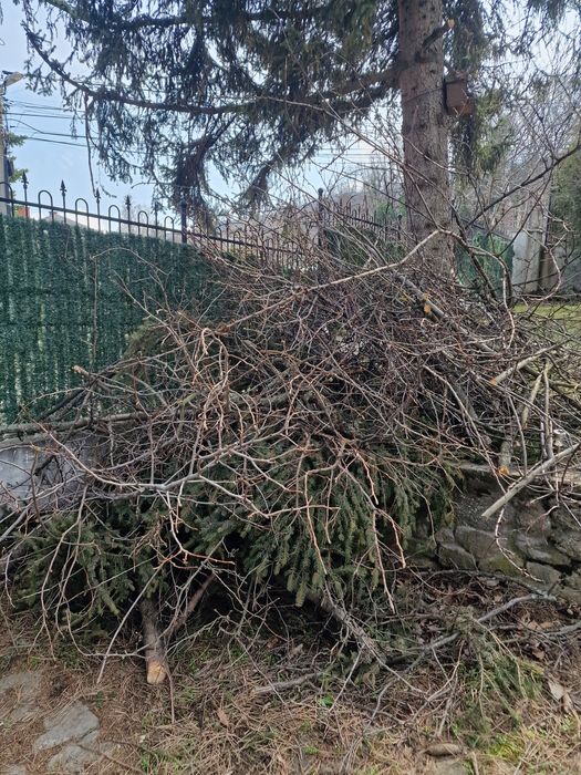 Клони/дърва за печка безплатно