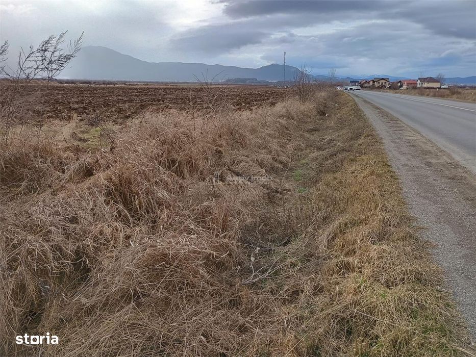 Teren 9000 mp Sacele Izvor, front 356 m la DJ 103A