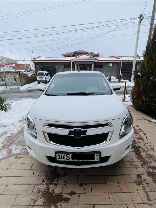 Cobalt-2022 4 позиция. Краска есть-кости целые.