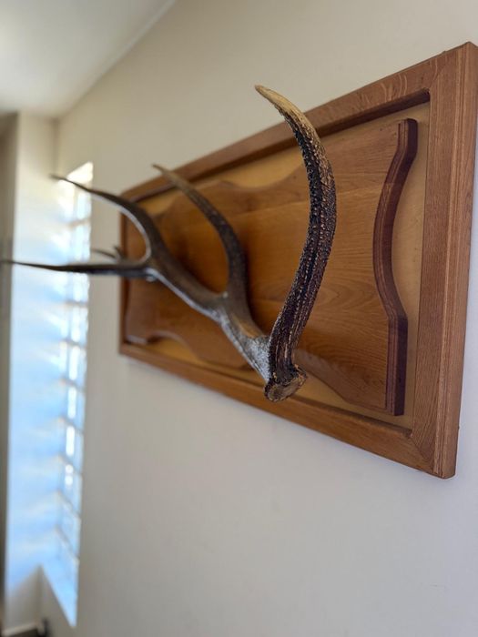 Tablou ideal pentru pensiuni