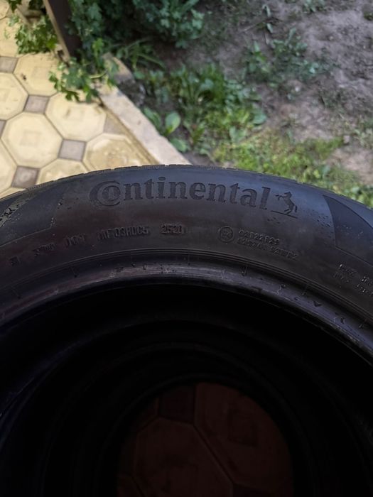 Continental летняя резина