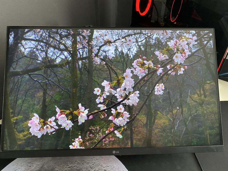 Монитор 240 герц