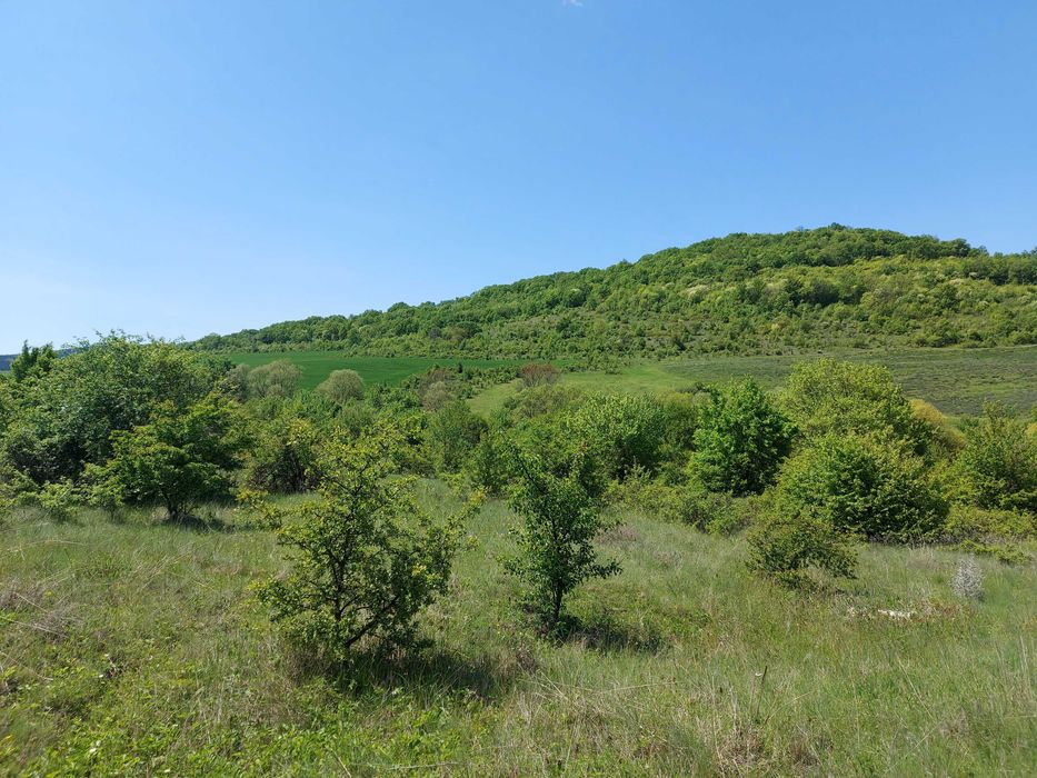 Продава се Парцел в с. Малка Верея, Област Стара Загора - 8537 кв.м за 8 €/кв.м - Снимка #12