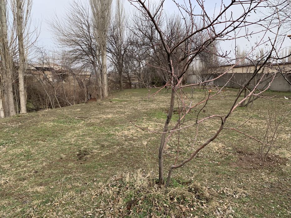 Yer sotiladi 12 sotixdan oshiq