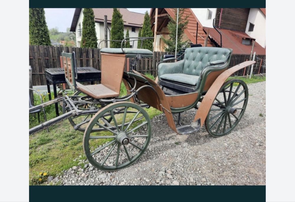 Trasura , atelaj, epoca , cai , echitatie, calarie