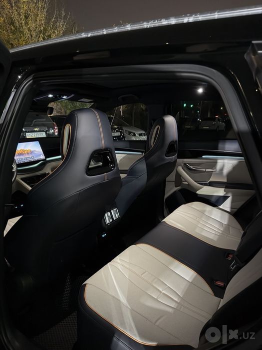 Byd champion Dm-i 2024