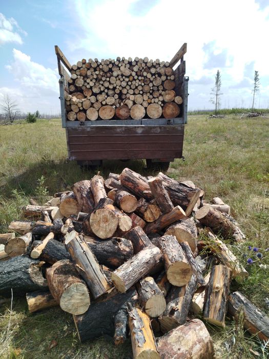 Дрова сосна сухая