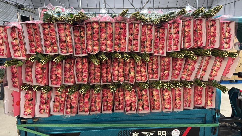 Розы оптом доставка по всему кз